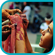 Posidonia Educational