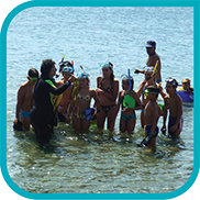 Posidonia Festival Extra